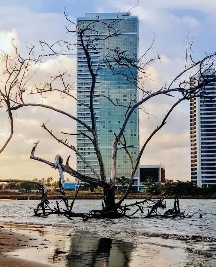 Appartamento Luxury Paiva Flat Recife